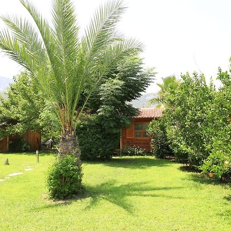 Tunays Pansiyon Bed & Breakfast Cirali Bagian luar foto