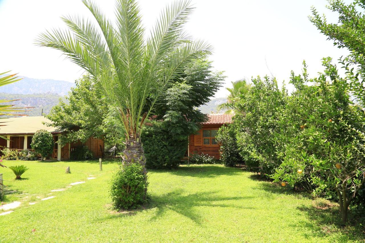 Tunays Pansiyon Bed & Breakfast Cirali Bagian luar foto