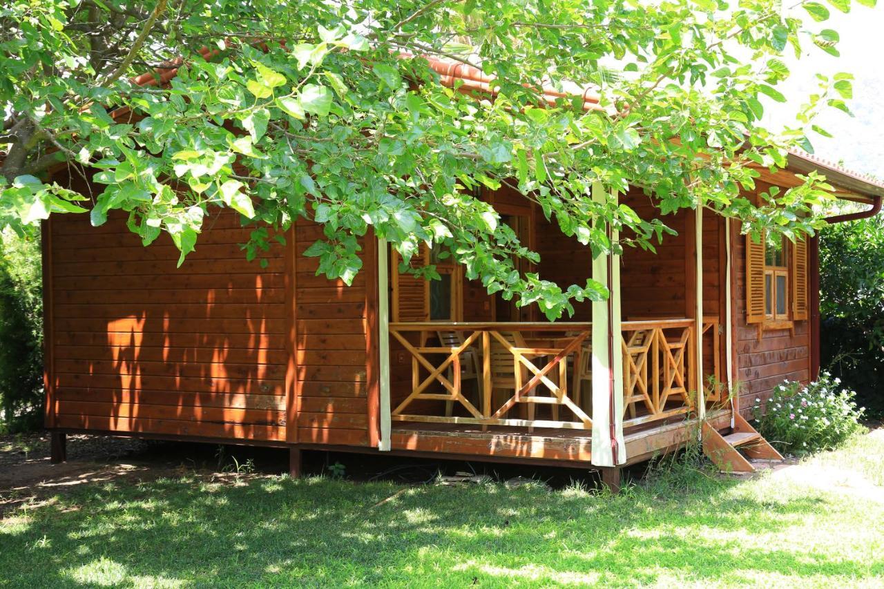 Tunays Pansiyon Bed & Breakfast Cirali Ruang foto