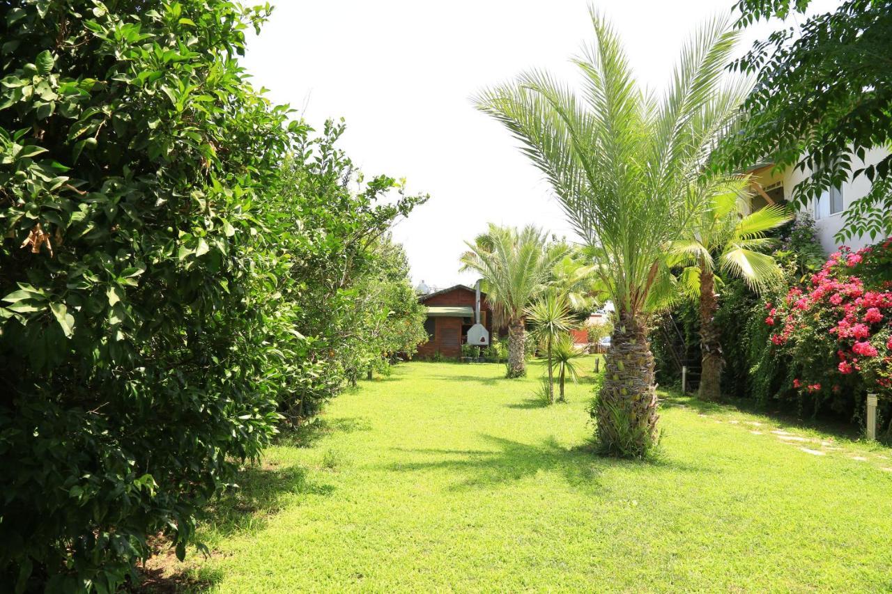 Tunays Pansiyon Bed & Breakfast Cirali Ruang foto