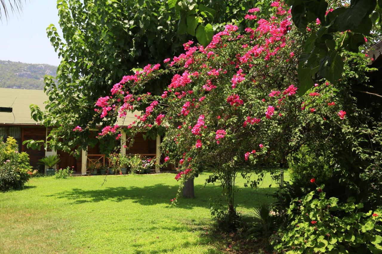 Tunays Pansiyon Bed & Breakfast Cirali Bagian luar foto