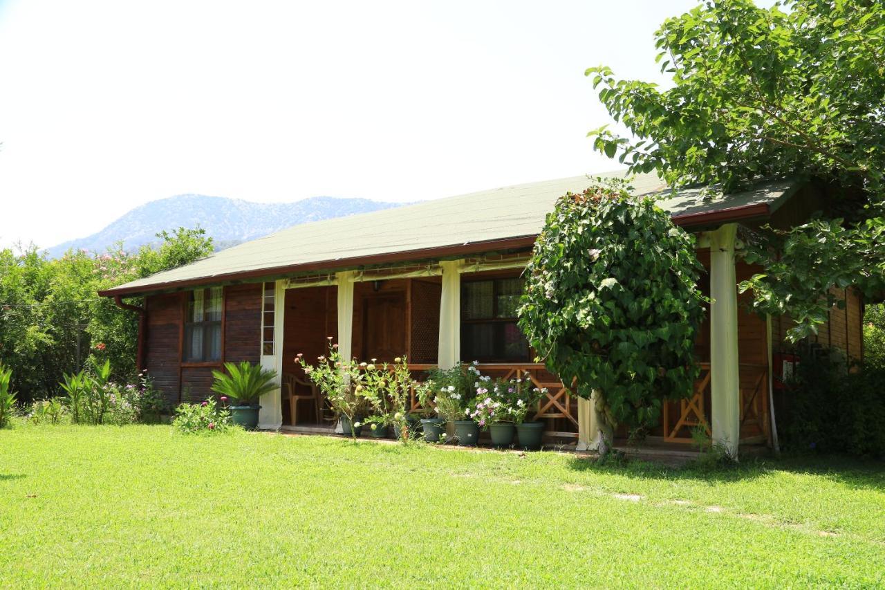 Tunays Pansiyon Bed & Breakfast Cirali Ruang foto